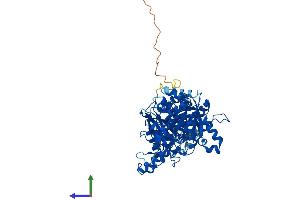Protein Structure (PS) image for CTP Synthase (CTPS) (AA 1-591) protein (His tag) (ABIN7556737)