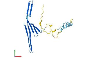Protein Structure (PS) image for Titin-Cap (Telethonin) (TCAP) (AA 1-167) protein (His tag) (ABIN7562561)