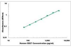 Representative Standard Curve (CD27 ELISA 试剂盒)