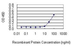 ELISA image for anti-Biglycan (BGN) (AA 1-368) antibody (ABIN560056)