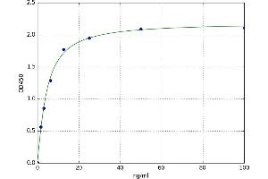 Fatty Acid Binding Protein 7, Brain (FABP7) ELISA Kit