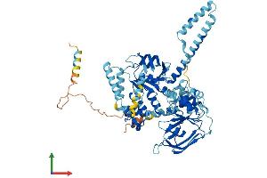 Protein Structure (PS) image for ATP-Binding Cassette, Sub-Family F (GCN20), Member 2 (ABCF2) (AA 1-623) protein (His tag) (ABIN7551737)