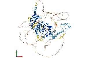 Protein Structure (PS) image for Gen Endonuclease Homolog 1 (GEN1) (AA 1-908) protein (His tag) (ABIN7564398)