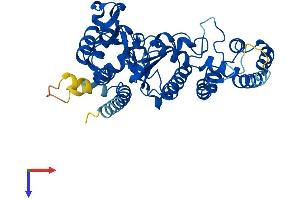 PRIM1 Protein (AA 1-420) (His tag)