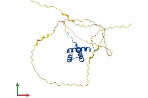 AlphaFold protein structure predicition of Human Recombinant MEOX1 Protein, UniprotID P50221