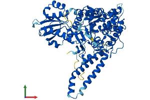 AlphaFold protein structure predicition of Human Recombinant VPS33A Protein, UniprotID Q96AX1 (VPS33A Protein (AA 1-596) (His tag))