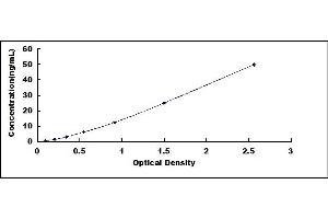 Typical standard curve (HSP90AB1 ELISA 试剂盒)