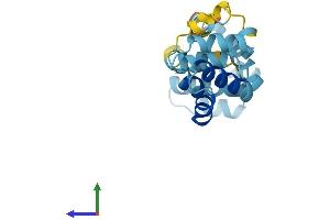 Protein Structure (PS) image for CASP2 and RIPK1 Domain Containing Adaptor with Death Domain (CRADD) (AA 1-199) protein (His tag) (ABIN7562671)
