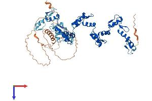AlphaFold protein structure predicition of Human Recombinant ZNF570 Protein, UniprotID Q96NI8