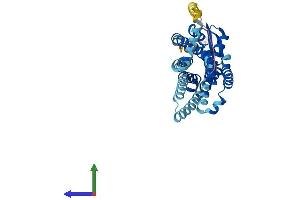 AlphaFold protein structure predicition of Mouse Recombinant Ccr1l1 Protein, UniprotID P51676