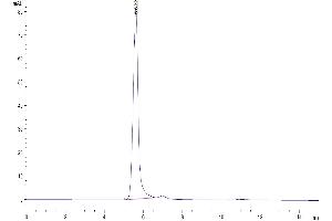 Size-exclusion chromatography-High Pressure Liquid Chromatography (SEC-HPLC) image for Interferon alpha (IFNA) (AA 27-429) protein (Fc Tag) (ABIN7274852)
