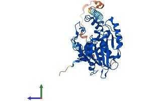 Protein Structure (PS) image for beta-1,3-N-Acetylglucosaminyltransferase 7 (B3GNT7) (AA 1-401) protein (His tag) (ABIN7552546)
