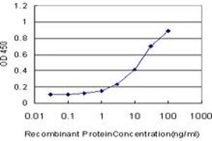 Detection limit for recombinant GST tagged CRKL is approximately 0. (CrkL 抗体  (AA 204-303))