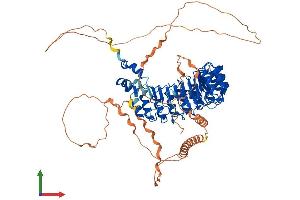 AlphaFold protein structure predicition of Human Recombinant FBXL17 Protein, UniprotID Q9UF56