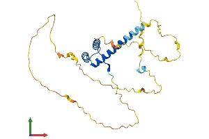 Protein Structure (PS) image for H6 Family Homeobox 2 (HMX2) (AA 1-273) protein (His tag) (ABIN7563266)