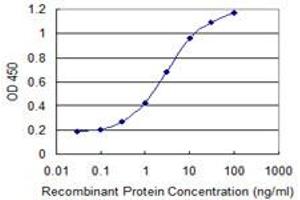 Detection limit for recombinant GST tagged PHF7 is 0. (PHF7 抗体  (AA 258-357))