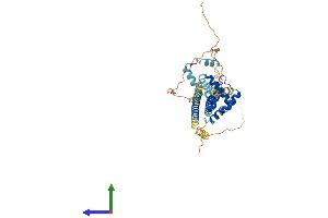 AlphaFold protein structure predicition of Mouse Recombinant Pbx1 Protein, UniprotID P41778