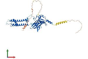 Protein Structure (PS) image for Potassium Inwardly-Rectifying Channel, Subfamily J, Member 6 (KCNJ6) (AA 1-425) protein (His tag) (ABIN7563318)