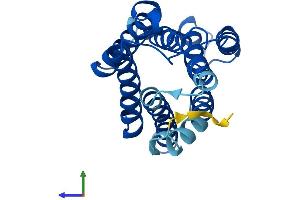AlphaFold protein structure predicition of Human Recombinant KDELR1 Protein, UniprotID P24390