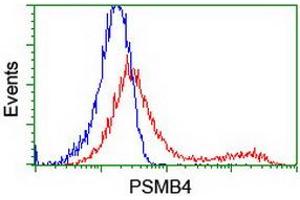 HEK293T cells transfected with either RC205723 overexpress plasmid (Red) or empty vector control plasmid (Blue) were immunostained by anti-PSMB4 antibody (ABIN2454987), and then analyzed by flow cytometry. (PSMB4 抗体)