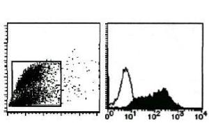 Flow Cytometry (FACS) image for anti-Milk Fat Globule-EGF Factor 8 Protein (MFGE8) antibody (ABIN1449192) (MFGE8 抗体)