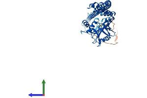 Protein Structure (PS) image for STAM Binding Protein (STAMBP) (AA 1-424) protein (His tag) (ABIN7560504)