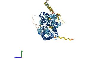Protein Structure (PS) image for Solute Carrier Family 17 (Vesicular Glutamate Transporter), Member 7 (SLC17A7) (AA 1-560) protein (His tag) (ABIN7545083)