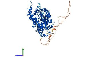 Protein Structure (PS) image for Glycosyltransferase-Like Domain Containing 1 (GTDC1) (AA 1-458) protein (His tag) (ABIN7548109)