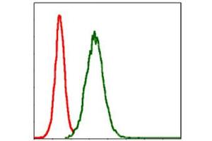 Flow cytometric analysis of NIH/3T3 cells using MMP3 monoclonal antibody, clone 4F10  (green) and negative control (red). (MMP3 抗体)