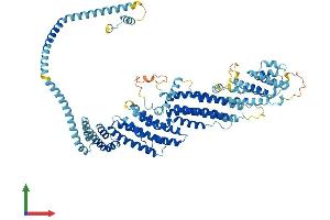 Protein Structure (PS) image for Component of Oligomeric Golgi Complex 7 (COG7) (AA 1-770) protein (His tag) (ABIN7557225)