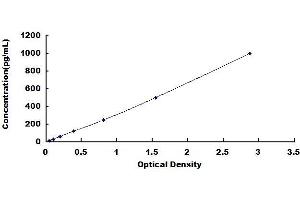 Typical standard curve (BSP ELISA 试剂盒)