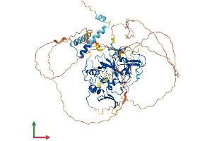 AlphaFold protein structure predicition of Mouse Recombinant Setdb2 Protein, UniprotID Q8C267