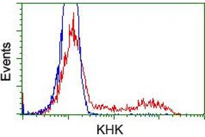HEK293T cells transfected with either RC202424 overexpress plasmid (Red) or empty vector control plasmid (Blue) were immunostained by anti-KHK antibody (ABIN2453194), and then analyzed by flow cytometry. (Ketohexokinase 抗体)