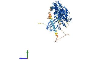 AlphaFold protein structure predicition of Mouse Recombinant Ikbkb Protein, UniprotID O88351