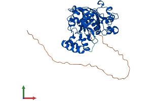 AlphaFold protein structure predicition of Human Recombinant JMJD6 Protein, UniprotID Q6NYC1