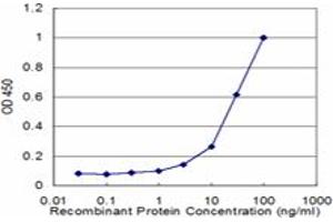 Detection limit for recombinant GST tagged GBA is approximately 3ng/ml as a capture antibody. (GBA 抗体  (AA 146-235))
