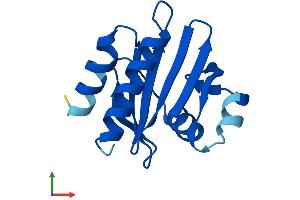 Protein Structure (PS) image for Profilin 4 (PFN4) (AA 1-129) protein (His tag) (ABIN7551037)
