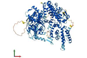 Protein Structure (PS) image for Rap Guanine Nucleotide Exchange Factor (GEF) 4 (RAPGEF4) (AA 1-1011) protein (His tag) (ABIN7565041)