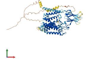 AlphaFold protein structure predicition of Mouse Recombinant Hgsnat Protein, UniprotID Q3UDW8 (HGSNAT Protein (AA 1-656) (His tag))