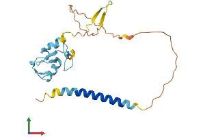 Protein Structure (PS) image for Ring Finger Protein 152 (RNF152) (AA 1-203) protein (His tag) (ABIN7558523)