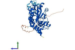 Protein Structure (PS) image for Phosphatidylinositol-Specific phospholipase C, X Domain Containing 1 (PLCXD1) (AA 1-345) protein (His tag) (ABIN7559344)