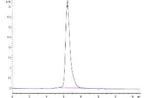 Size-exclusion chromatography-High Pressure Liquid Chromatography (SEC-HPLC) image for SARS-CoV-2 Spike S1 protein (His-DYKDDDDK Tag) (ABIN7274392)