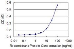 Detection limit for recombinant GST tagged RHPN2 is 3 ng/ml as a capture antibody. (RHPN2 抗体  (AA 1-686))