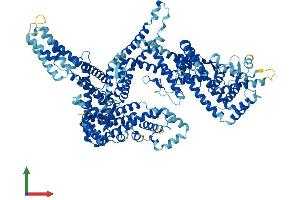 AlphaFold protein structure predicition of Human Recombinant WASHC5 Protein, UniprotID Q12768