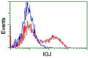 Flow Cytometry (FACS) image for anti-Immunoglobulin J Polypeptide, Linker Protein For Immunoglobulin alpha and mu Polypeptides (IGJ) antibody (ABIN1498836) (IGJ 抗体)