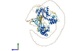 Protein Structure (PS) image for Origin Recognition Complex, Subunit 1 (ORC1L) (AA 1-840) protein (His tag) (ABIN7565278)