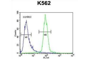 Flow Cytometry (FACS) image for anti-Ribulose-5-Phosphate-3-Epimerase-Like (RPEL1) antibody (ABIN2995143) (Ribulose-5-Phosphate-3-Epimerase-Like (RPEL1) 抗体)