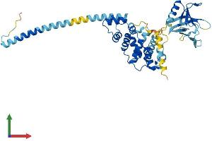 Protein Structure (PS) image for Cytohesin 2 (CYTH2) (AA 1-400) protein (His tag) (ABIN7546896)