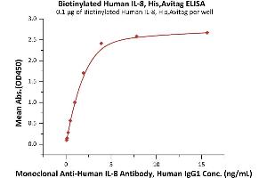 Immobilized Biotinylated Human IL-8, His,Avitag (ABIN6992354) at 1 μg/mL (100 μL/well) on streptavidin precoated (0. (IL-8 Protein (AA 28-99) (His tag,AVI tag,Biotin))
