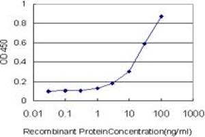 Detection limit for recombinant GST tagged RUNX1 is approximately 1ng/ml as a capture antibody. (RUNX1 抗体  (AA 210-310))